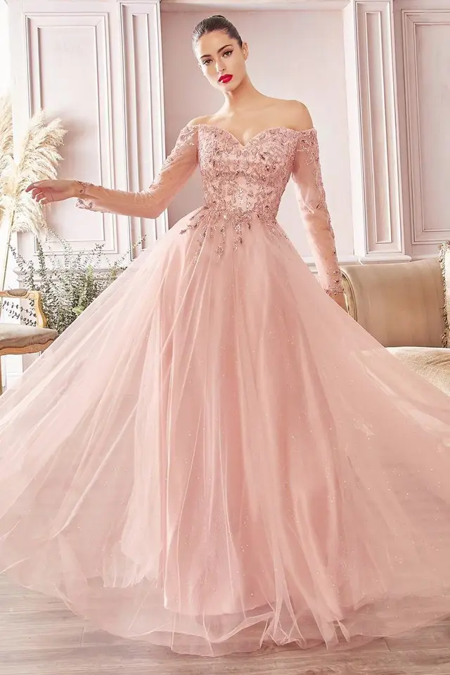 Women's Off-Shoulder Long Sleeve Tulle Mother of Bride Gown Floor-Length for Formal Wedding — LV42020467