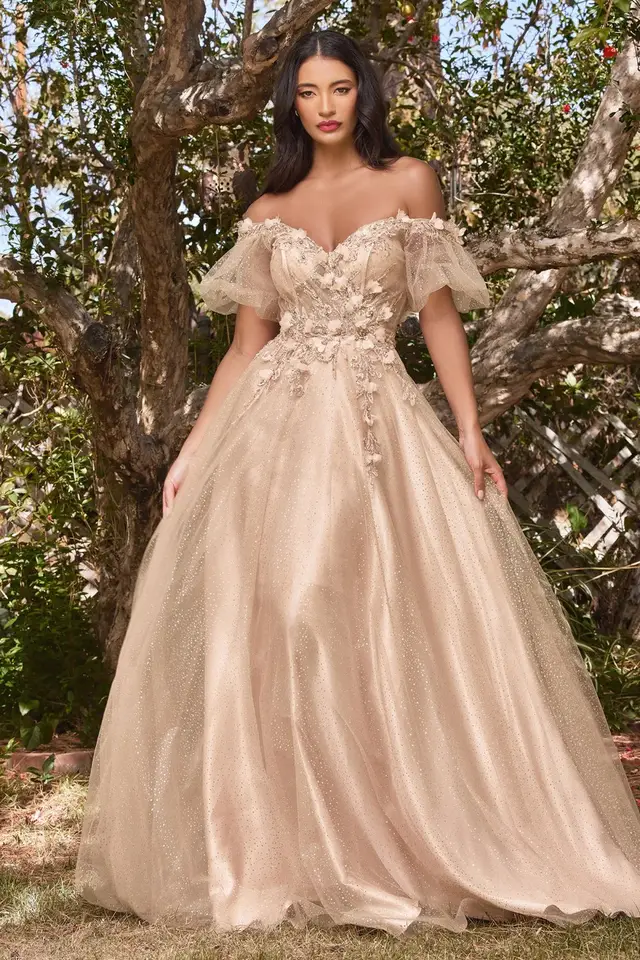Women's Champagne Puffy Sleeve Mother of Bride Gown for Formal Wedding